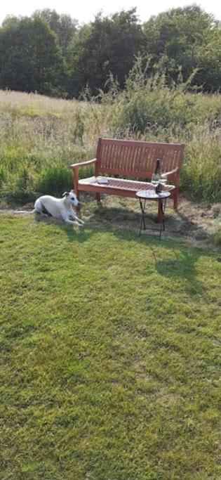 Athelas, Self Catering Cottage Whitby Esterno foto